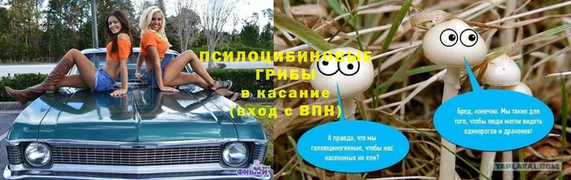 MEGA зеркало  Балтийск  Галлюциногенные грибы Cubensis 